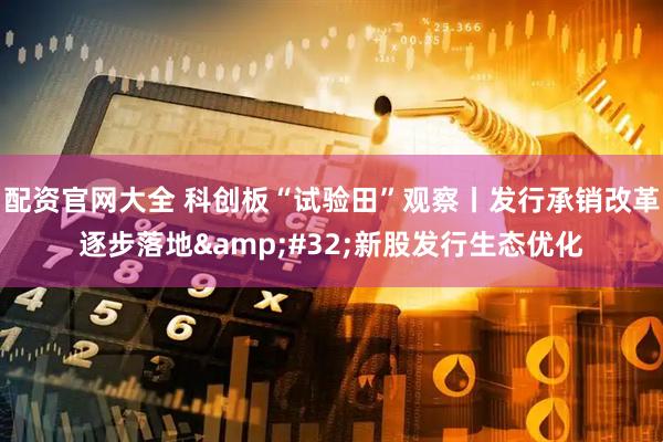 配资官网大全 科创板“试验田”观察丨发行承销改革逐步落地&#32;新股发行生态优化