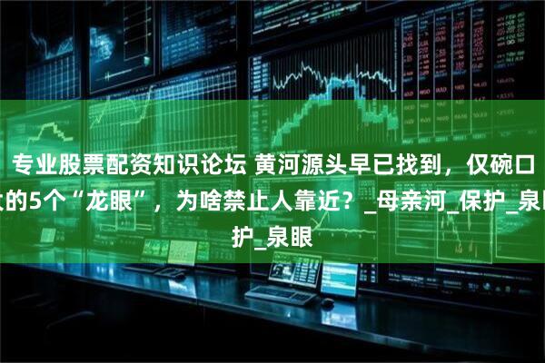 专业股票配资知识论坛 黄河源头早已找到，仅碗口大的5个“龙眼”，为啥禁止人靠近？_母亲河_保护_泉眼