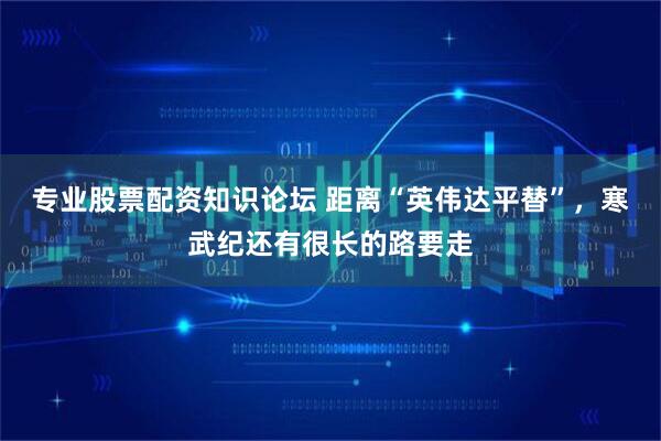 专业股票配资知识论坛 距离“英伟达平替”，寒武纪还有很长的路要走