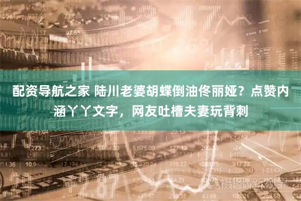配资导航之家 陆川老婆胡蝶倒油佟丽娅？点赞内涵丫丫文字，网友吐槽夫妻玩背刺