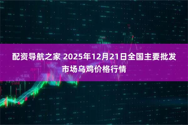 配资导航之家 2025年12月21日全国主要批发市场乌鸡价格行情