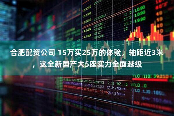 合肥配资公司 15万买25万的体验,轴距近3米,这全新国产大5座实力全面越级